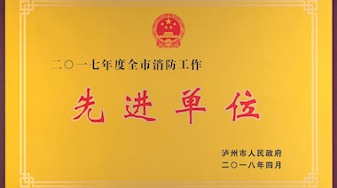 2017年度全市消防工作先進(jìn)單位